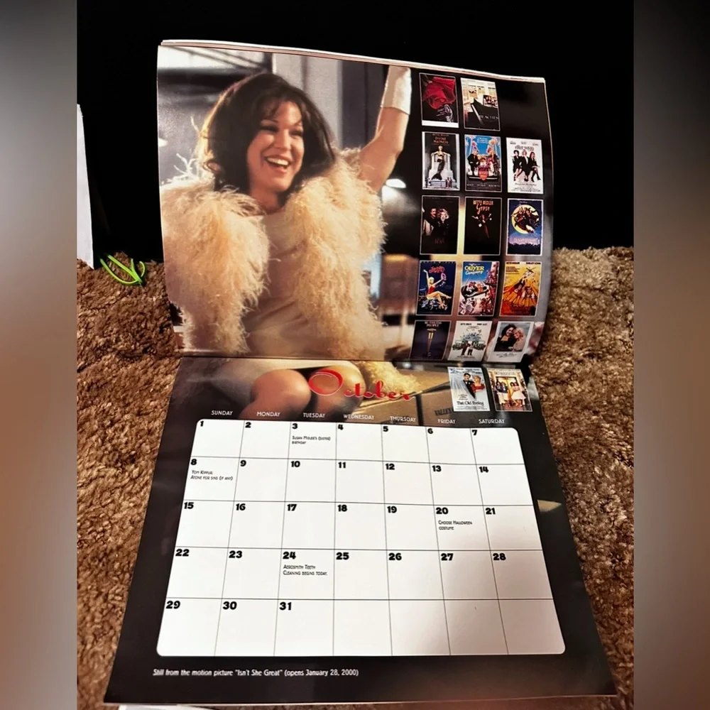 Rare Vintage Bette Midler The Divine Miss Millennium 2000 Photo Calendar +NEW
